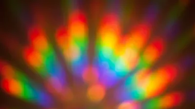 Coming Out Geschichten: Unsere Reisen mit Stolz annehmen