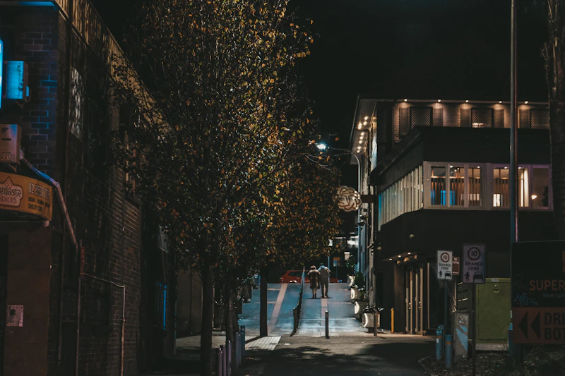 a tree on a street at night